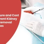 Procedure and Cost of Different Kidney Stone Removal Surgeries